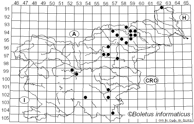 <i>Lactarius resimus</i> (Fr.) Fr. (1838)