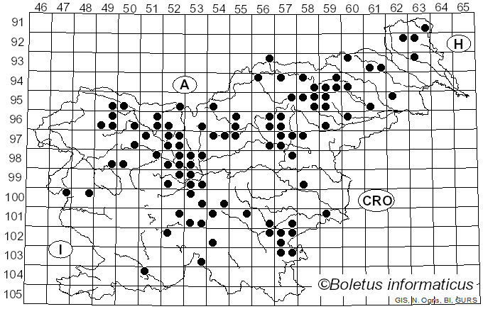 <i>Cortinarius collinitus</i> (Pers.) Fr. (1838)