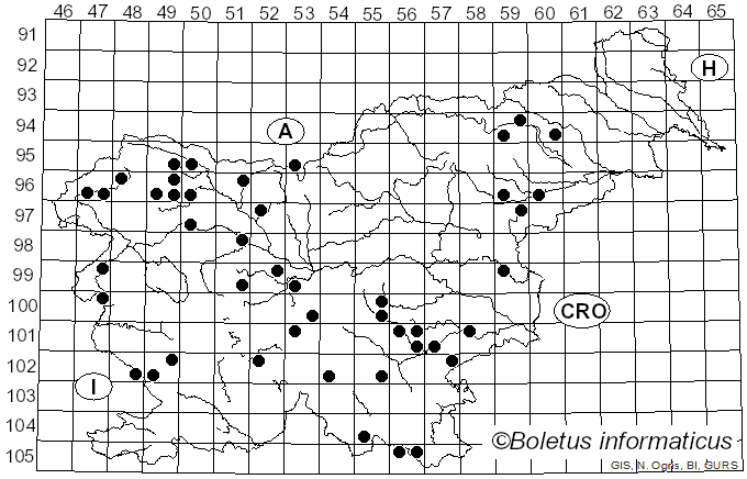 <i>Gymnopus brassicolens</i> (Romagn.) Antonín & Noordel. (1997)