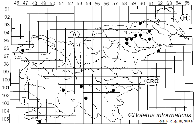 <i>Russula gracillima</i> Jul. Schäff. (1931)