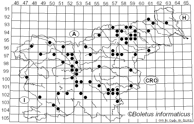 <i>Gymnopilus sapineus</i> (Fr.) Maire (1933)