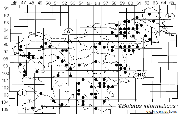 <i>Mycena crocata</i> (Schrad.) Fr. (1871)