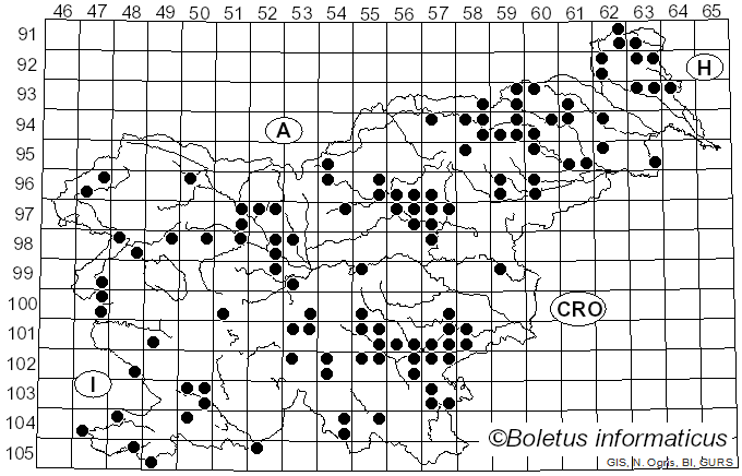 <i>Hapalopilus</i> P. Karst. (1881)