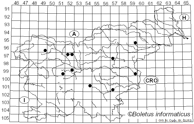 <i>Physisporinus</i> P. Karst. (1889)