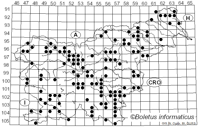 <i>Xylaria hypoxylon</i> (L.) Grev. (1824)