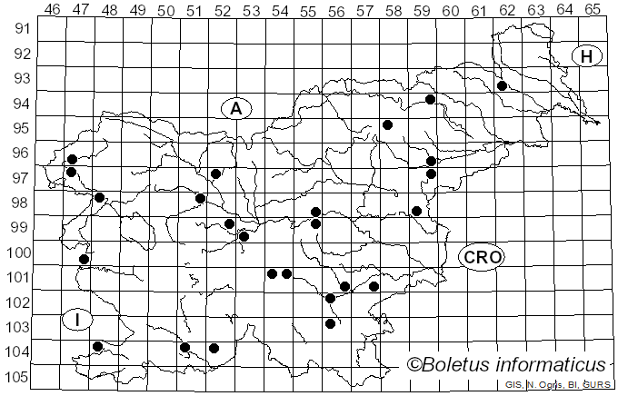 <i>Thaxterogaster croceocoeruleus</i> (Pers.) Niskanen & Liimat. (2022)