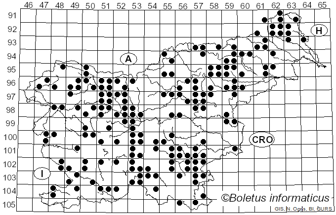 <i>Clitocybe odora</i> (Bull.) P. Kumm. (1871)
