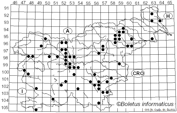 <i>Asterophora</i> Ditmar (1809)
