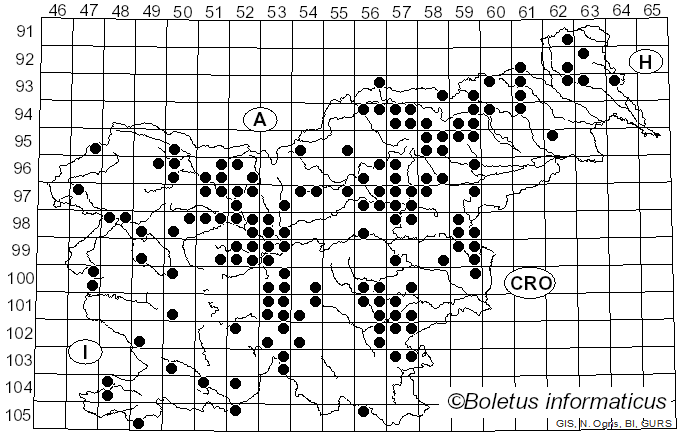 <i>Laeticutis cristata</i> (Schaeff.) Audet (2010)