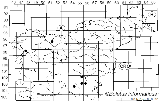 <i>Peniophora piceae</i> (Pers.) J. Erikss. (1950)