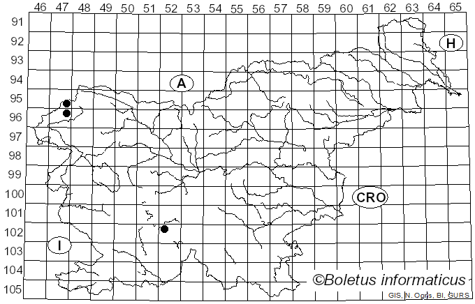 <i>Albatrellus citrinus</i> Ryman (2003)
