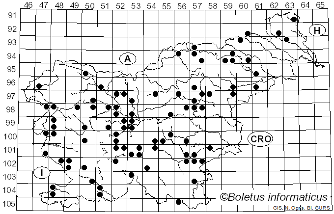 <i>Agaricus arvensis</i> Schaeff. (1774)