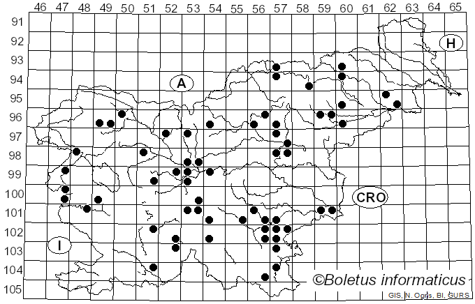 <i>Agrocybe dura</i> (Bolton) Singer (1936)