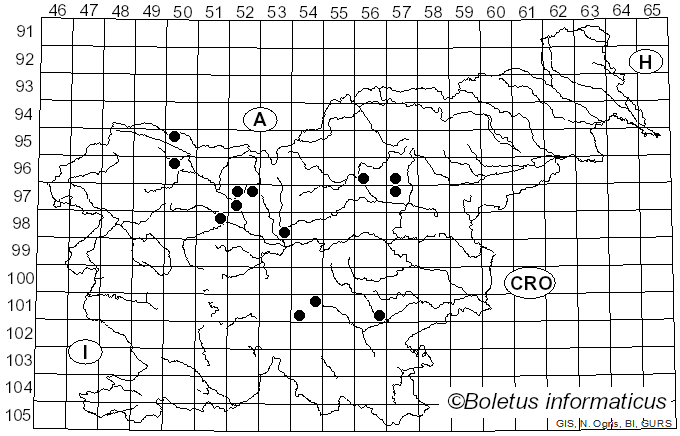 <i>Ramaria rubella</i> (Schaeff.) R.H. Petersen (1974)