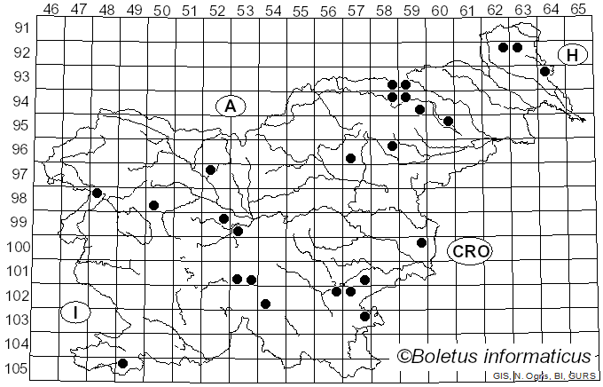 <i>Hydnellum caeruleum</i> (Hornem.) P. Karst. (1880)