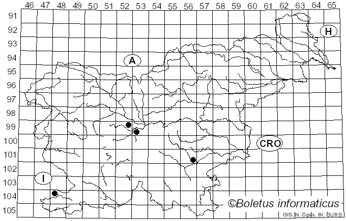 <i>Cystoderma superbum</i> Huijsman (1956)