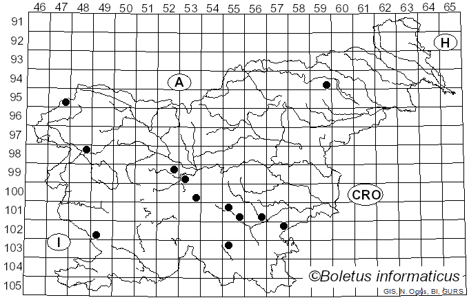<i>Clavicorona</i> Doty (1947)
