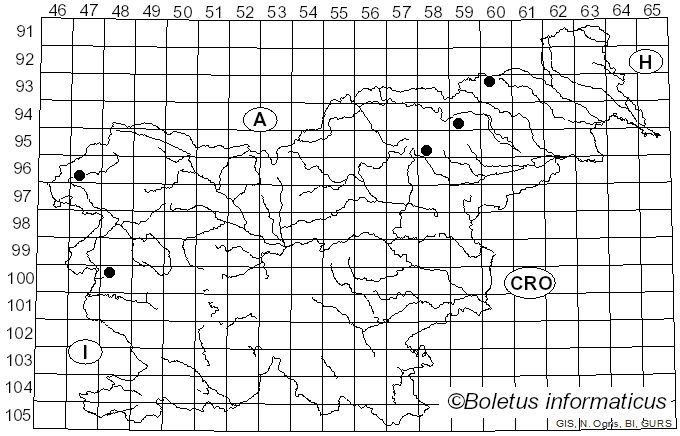 <i>Thaxterogaster talus</i> (Fr.) Niskanen & Liimat. (2022)