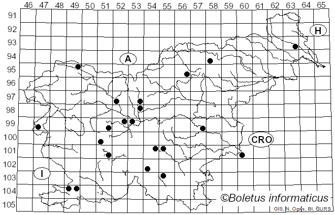 <i>Fusarium</i> Link (1809)