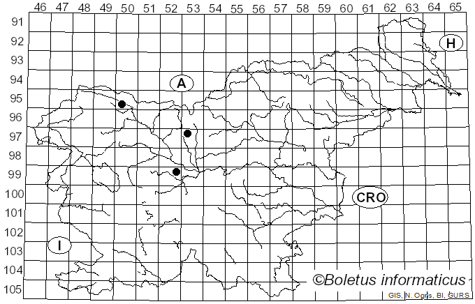 <i>Polythrincium</i> Kunze (1817)