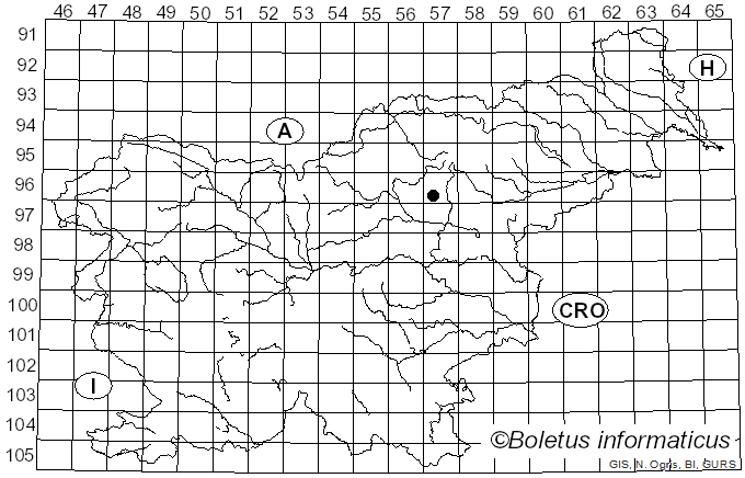 <i>Hygrocybe glutinipes</i> var. <i>rubra</i> R. Kristiansen (1993)