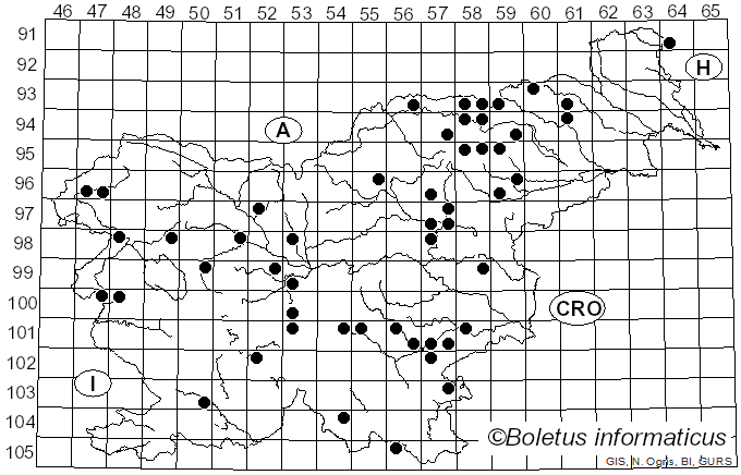 <i>Russula anthracina</i> Romagn. (1962)