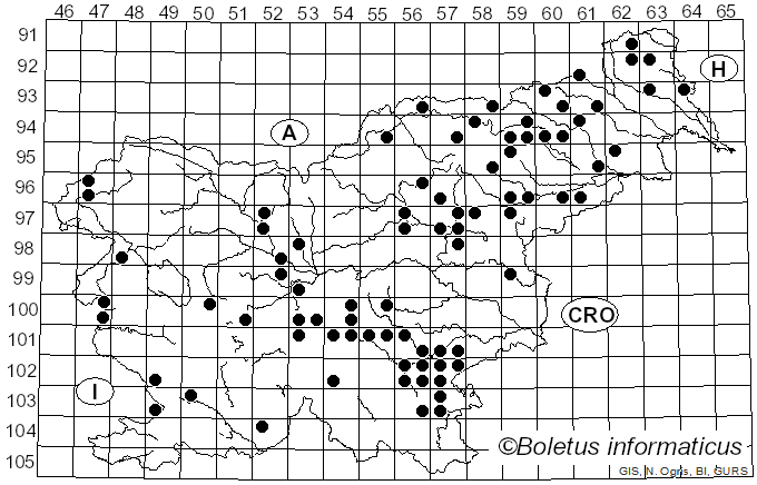 <i>Inocybe asterospora</i> (Quél.) Quél. (1979)