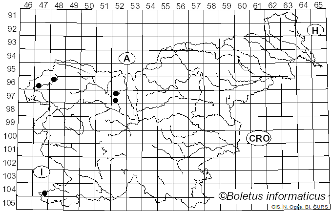 <i>Galerina graminea</i> (Velen.) Kühner (1935)