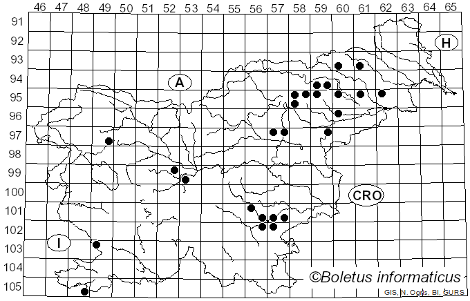 <i>Russula anatina</i> Romagn. (1967)
