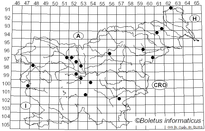 <i>Gloeoporus</i> Mont. (1842)