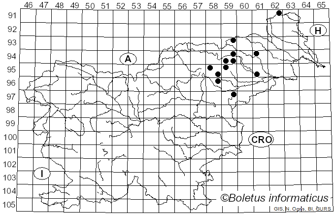 <i>Hebeloma clavulipes</i> Romagn. (1965)