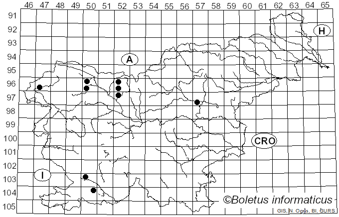 <i>Phaeotremella frondosa</i> (Fr.) Spirin & V. Malysheva (2018)