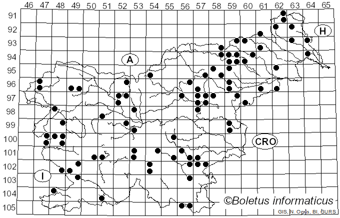 <i>Lycoperdon molle</i> Pers. (1801)
