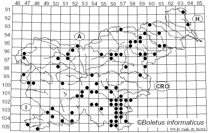 <i>Butyriboletus</i> D. Arora & J.L. Frank (2014)