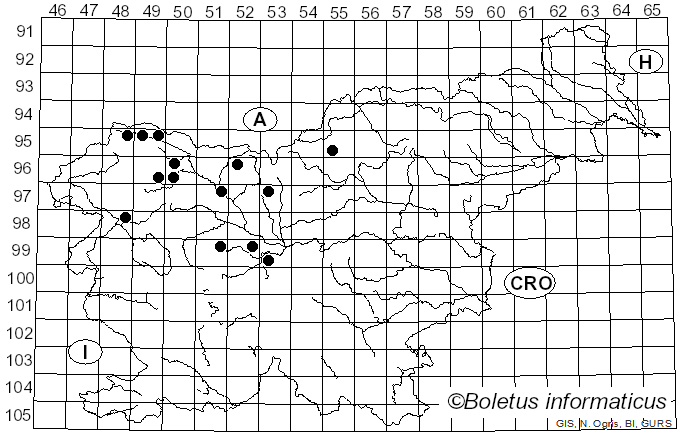 <i>Exobasidium vaccinii</i> (Fuckel) Woronin (1867)