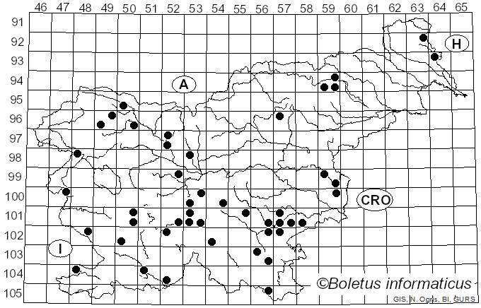 <i>Calonarius atrovirens</i> (Kalchbr.) Niskanen & Liimat. (2022)