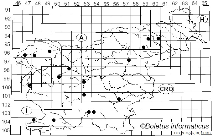 <i>Calocybe carnea</i> (Bull.) Donk (1962)