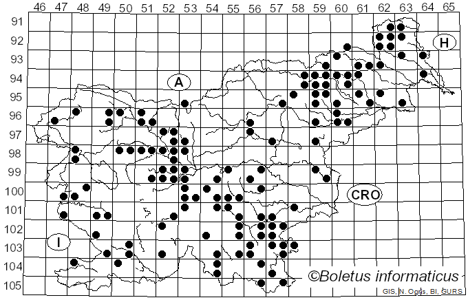 <i>Hymenochaete</i> Lév. (1846)