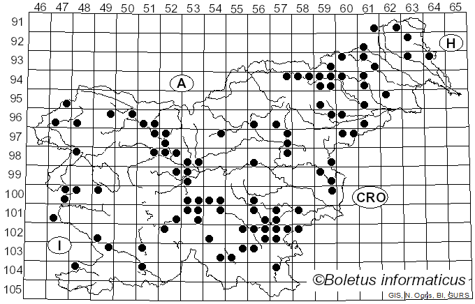 <i>Merulius</i> Fr. (1821)