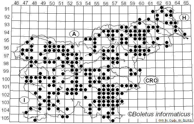 <i>Xylaria</i> Hill ex Schrank (1789)