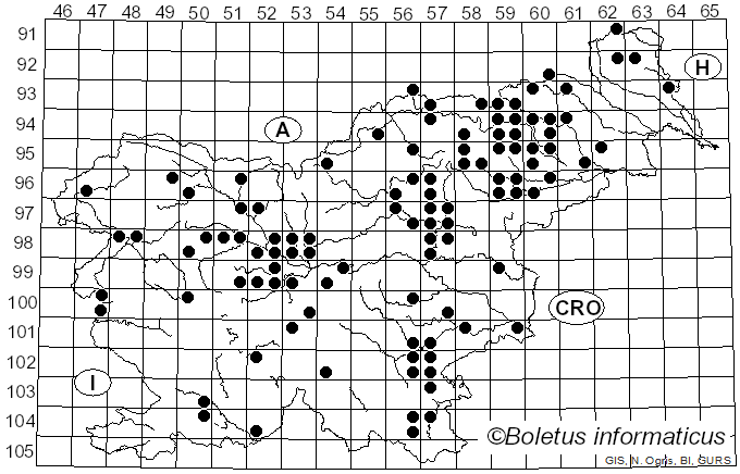 <i>Pseudoboletus parasiticus</i> (Bull.) Šutara (1991)