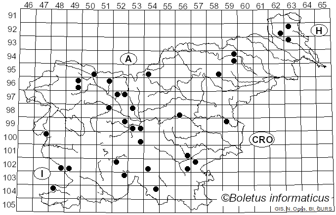 <i>Lyophyllum crassifolium</i> (Berk.) Singer