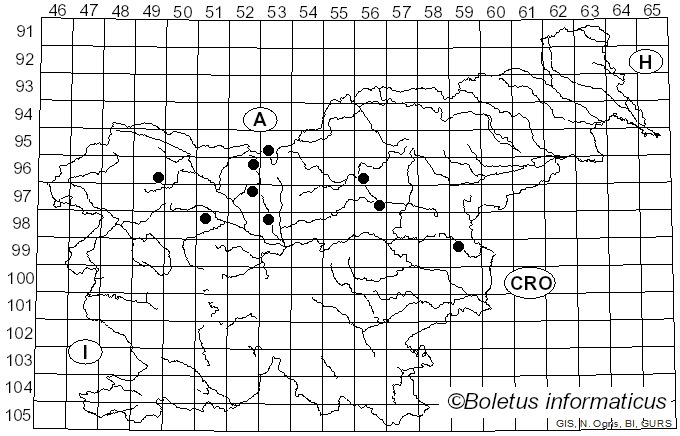 <i>Cystolepiota seminuda</i> (Lasch) Bon (1976)