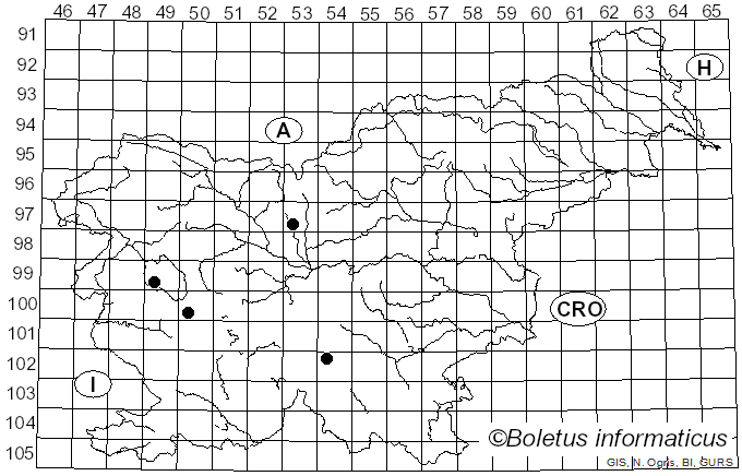 <i>Boletus hydriensis</i> (Hacq.) W. Voss (1882)