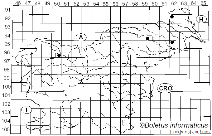 <i>Fuscopostia leucomallella</i> (Murrill) B.K. Cui, L.L. Shen & Y.C. Dai (2018)