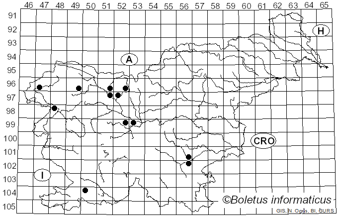 <i>Lyomyces</i> P. Karst. (1882)