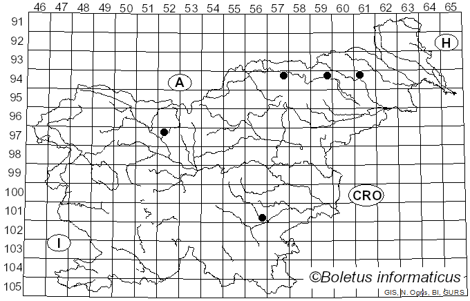 <i>Cortinarius deceptivus</i> Kauffman (1907)
