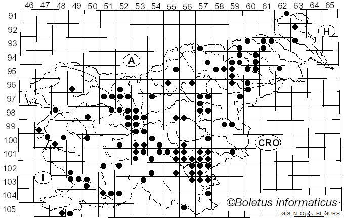 <i>Amanita lividopallescens</i> (Gillet) Bigeard & H. Guill. (1913)