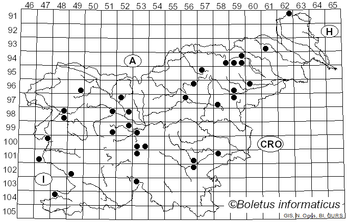 <i>Inocybe flocculosa</i> (Berk.) Sacc. (1887)