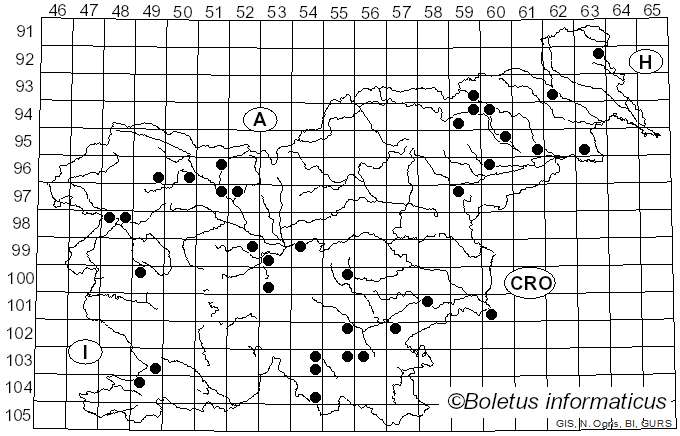 <i>Hyphodontia</i> J. Erikss. (1958)